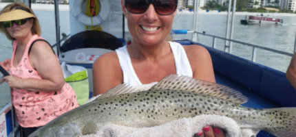 boat trips fort myers beach florida