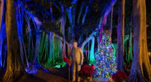 A large banyan tree and statue of Thomas Edison decorated with a Christmas tree and lights.