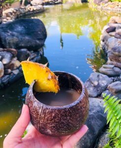 A coconut shell of Kava served with a slice of Pineapple.