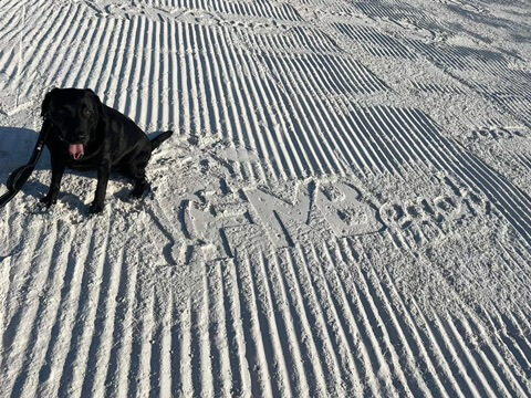 A black dog poses next to the Fort Myers Beach logo which is etched in the sand.