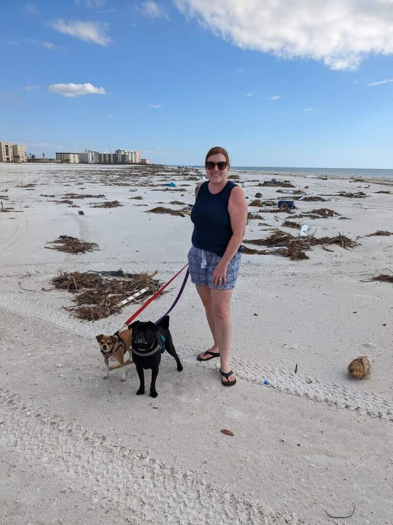 A woman walks her pug and chihuahua on the beach.
