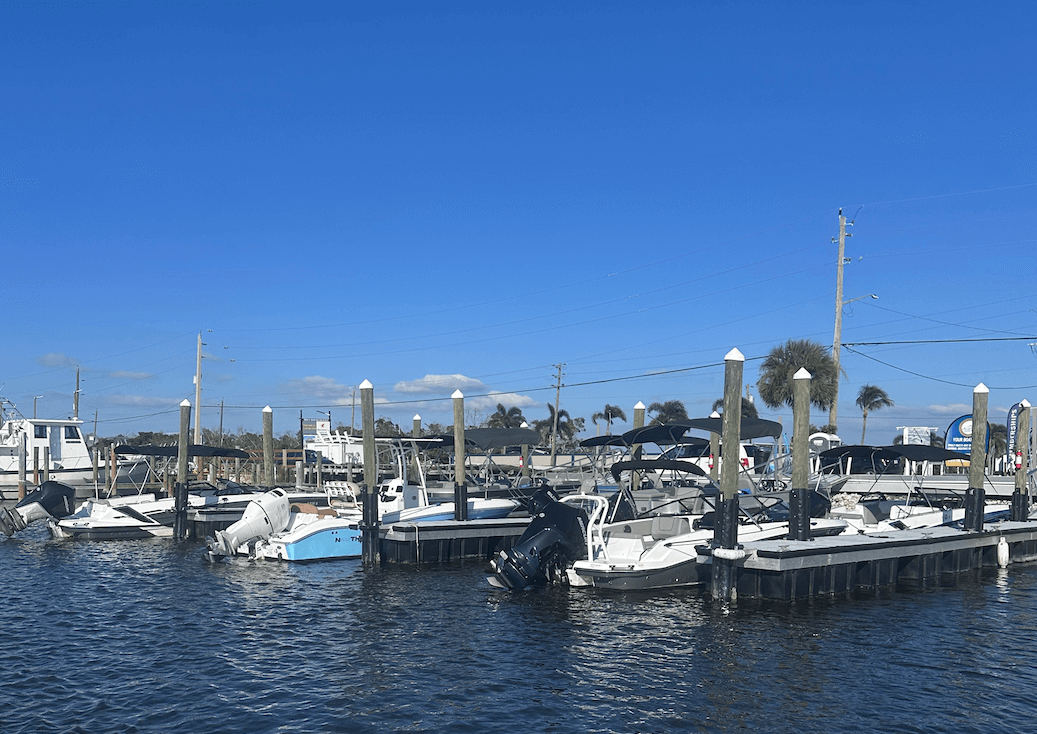 Motorboats docked at a sunny marina with calm water, palm trees, and buildings in the background.