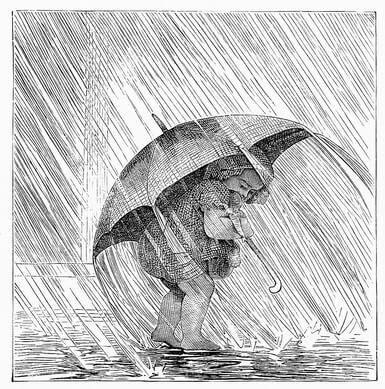 Rainy Day Activities In The Fort Myers Beach Area